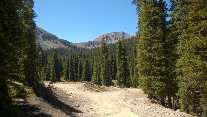 Near the switchback on FS839 Alpine Tunnel