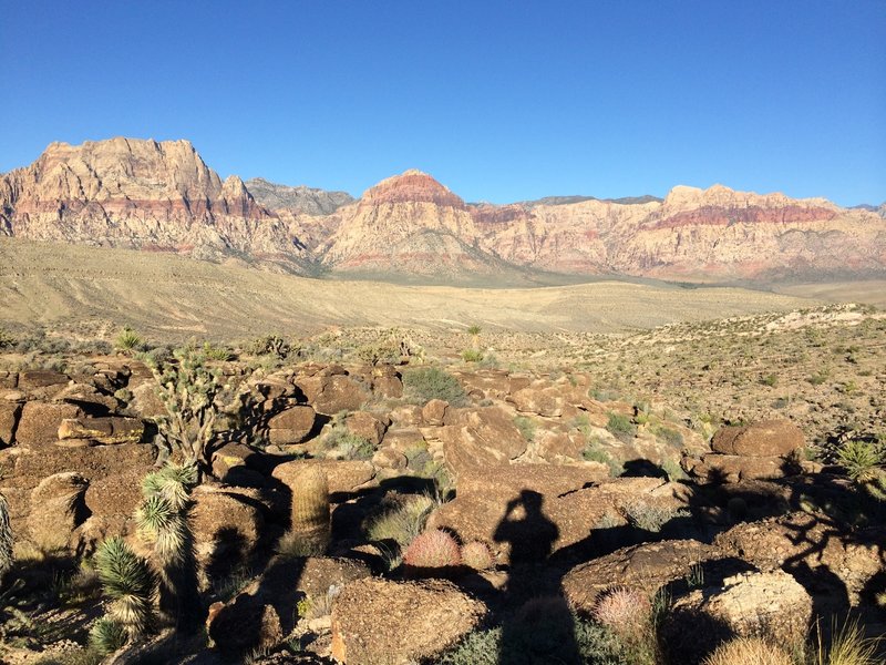 View from Kibbles-n-Bits west to Red Rock