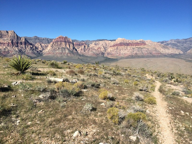 Bone Shaker trail....looks easy, huh!