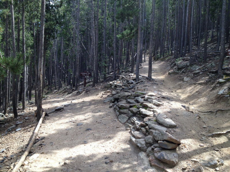 Trail coming up and then going to the summit