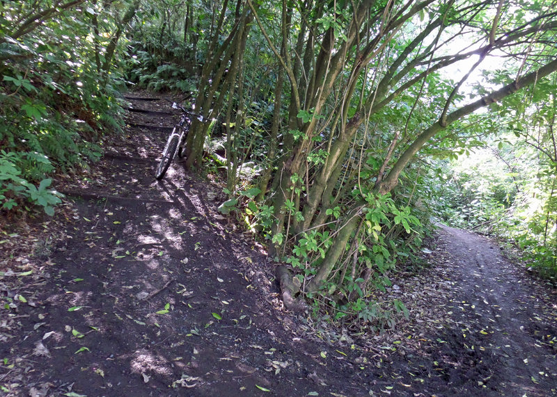 Steep-ish descent into a tight corner on Jubilee Park Circuit