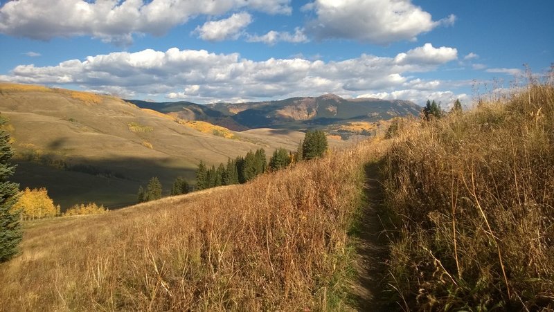 Traversing the upper meadows of Meander Trail