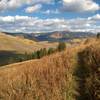 Traversing the upper meadows of Meander Trail