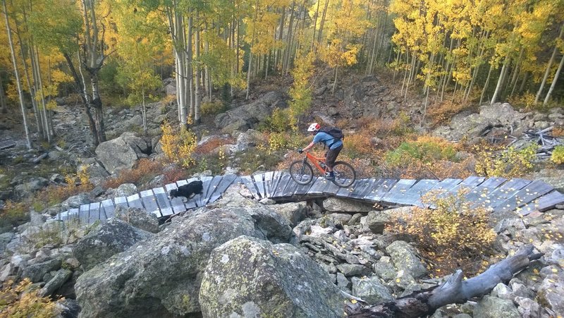 riding the easier line on the lower section