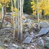 The final ramps and rock gardens of Psycho Rocks