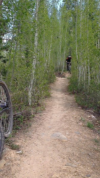 Lower Flume Trail, Breckenridge