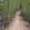 Lower Flume Trail, Breckenridge