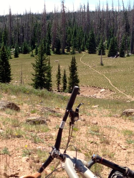 Starting the descent of Lowder Pond Loop