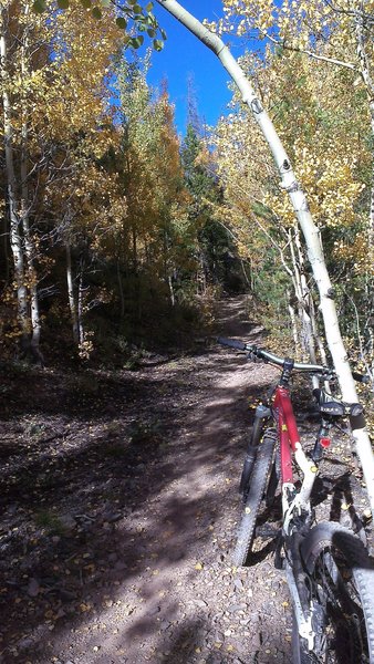 Lower Side Door aspen tunnel