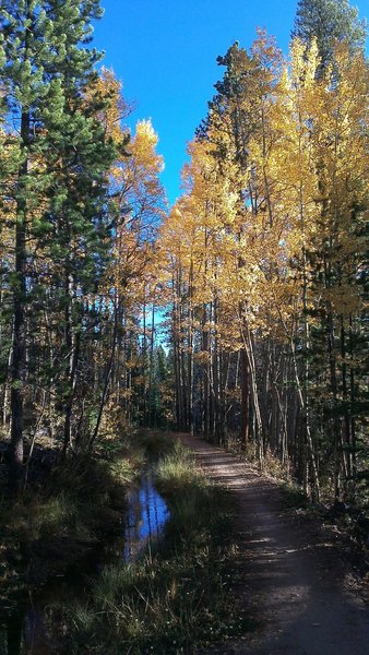 Diversion ditch along Peaks Trail