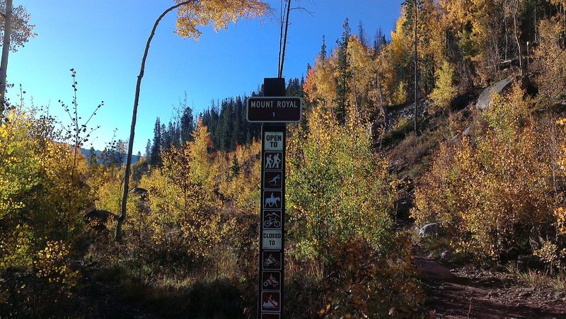 Mount Royal trailhead