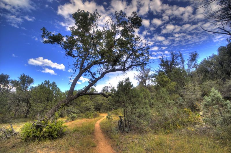 Heading clockwise on Salida Gulch Trail