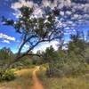 Heading clockwise on Salida Gulch Trail