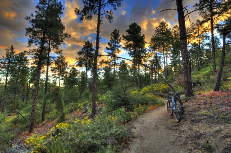 Sun rising on Groom Creek Trail