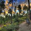 Sun rising on Groom Creek Trail