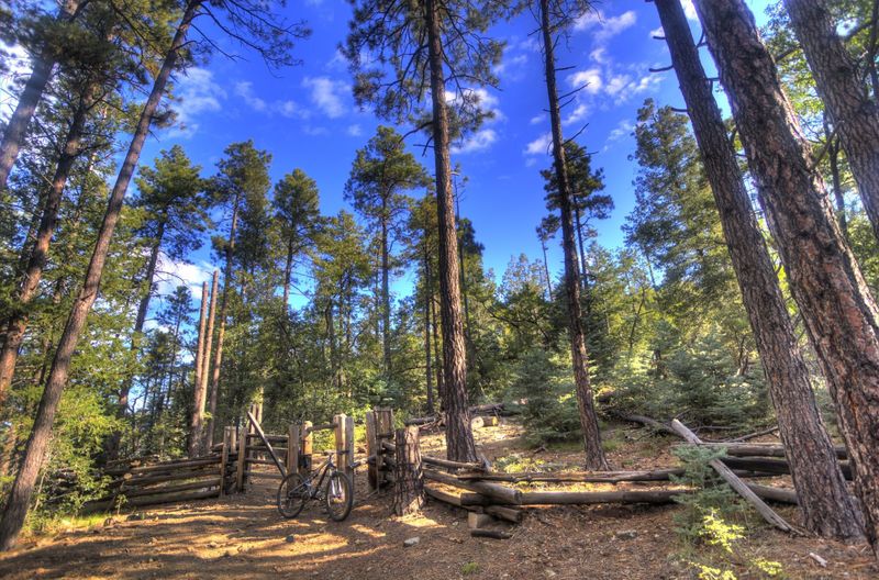 Fence crossing coming down from Spruce Mountain on Groom Creek Loop