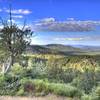 View from Spruce Mountain