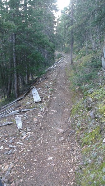 Sweet singletrack - Great Flume Trail