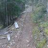 Sweet singletrack - Great Flume Trail