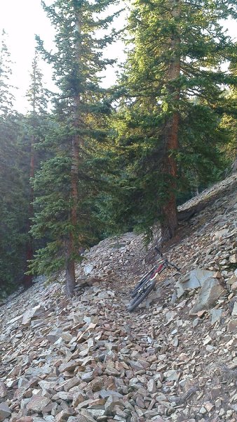 Great Flume talus field