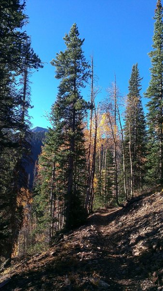 Glimpses of Mt. Guyot from the Great Flume