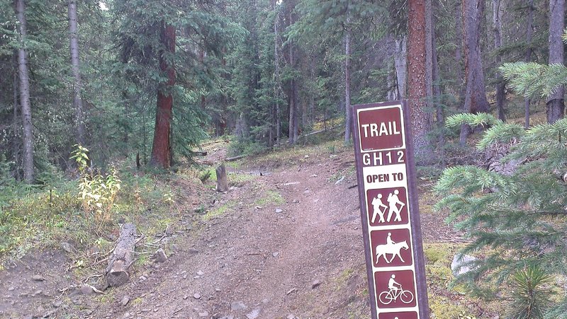 Sign along the Fuller Trail (GH 44). While most of the markers along this trail and maps identify this as "GH 44", there are still a number of GH 12 marker posts: holdovers from the somewhat disjointed, schizophrenic Forest Service numbering/naming efforts.