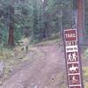 Sign along the Fuller Trail (GH 44). While most of the markers along this trail and maps identify this as "GH 44", there are still a number of GH 12 marker posts: holdovers from the somewhat disjointed, schizophrenic Forest Service numbering/naming efforts.