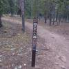 GH 67 - Governor King Trail downhill. Marker post is 100' off of Lincoln Park Road and not visible from the road.