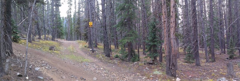 One of the more confusing intersections in the Golden Horseshoe. This is the intersection of the Forest Queen (left), Yellow Brick Road (straight), and Governor King (out of picture to the right at GH 67 marker) trails.