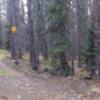 One of the more confusing intersections in the Golden Horseshoe. This is the intersection of the Forest Queen (left), Yellow Brick Road (straight), and Governor King (out of picture to the right at GH 67 marker) trails.