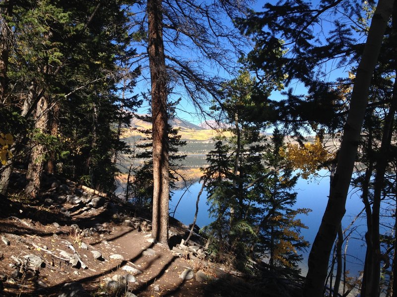 Twin Lakes Trail just before a small section of large rocks on the trail heading west.. may want to hike it up.