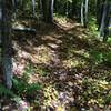 Perfect autumn conditions on Namakagon.  Although difficult to see the trail with all the colorful leaf litter.