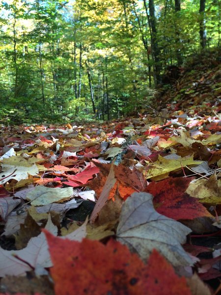 Love the crunch and color of autumn rides. On Namakagon