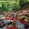 Love the crunch and color of autumn rides. On Namakagon