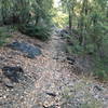 Along the Elliott Ridge Trail