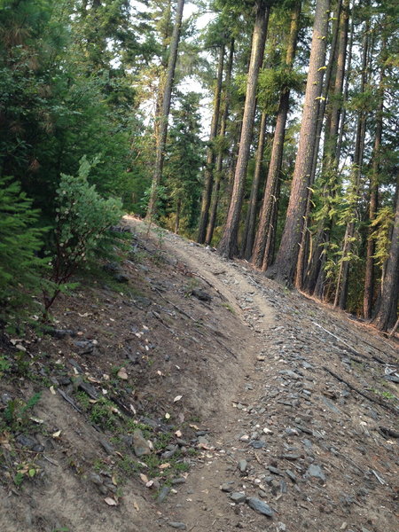 Steep section on Summit Lake trail