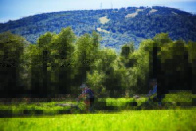 Mont-Sainte-Anne in background- on La Coup de Foudre Trail