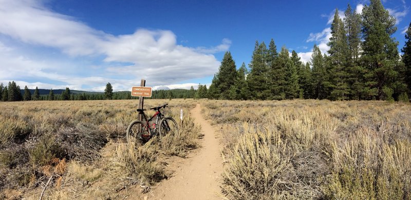 Emigrant Trail: 100% Singletrack, fast & flowy.