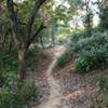 Some dirt features along the Roundaround Right Trail.