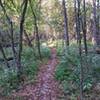 Fast old school singletrack with tight trees!