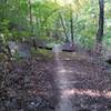 Wood bridge over log on Advanced Trail 1