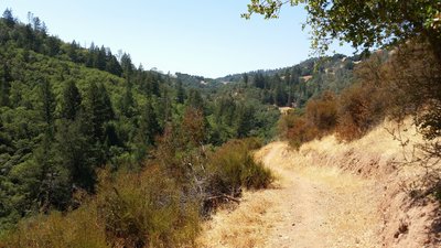 Stay clear of the drop on Valentine Vista Trail and you'll be fine!