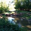 Another view of the tree bridge.