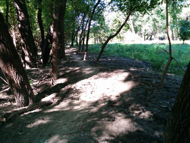 Most of the rollers are natural sand bar deposits from flood waters.