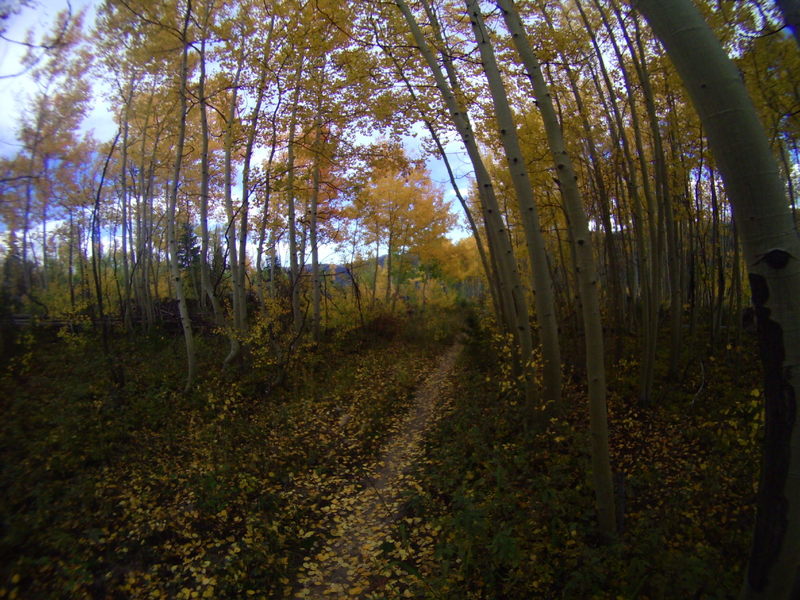 Evening ride with Aspen leaves falling on our heads! On Leap Frog Trail