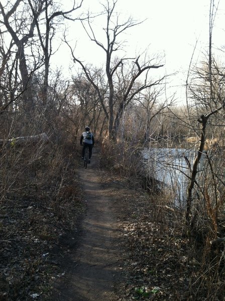 Along the Menomonee River