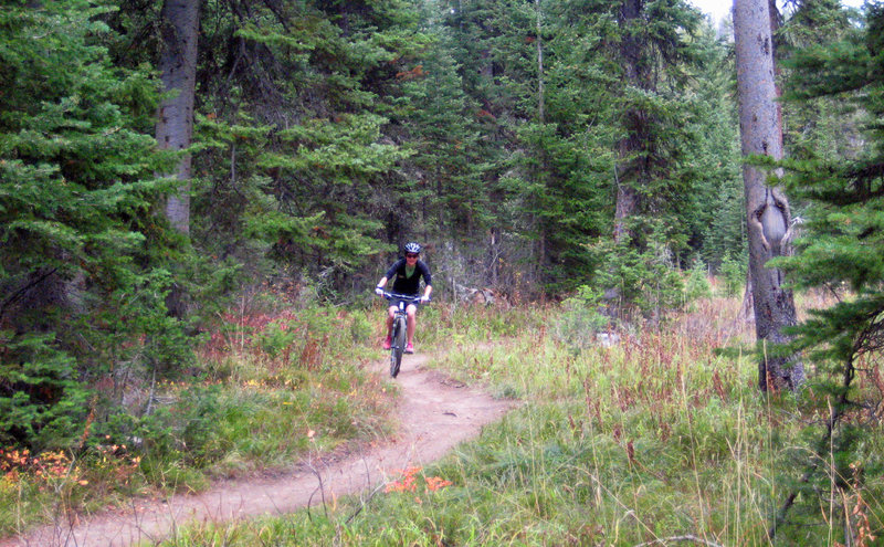 Smooth rolling back to the trailhead.