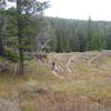 Start of a fun section of switchbacks on Arrow Trail