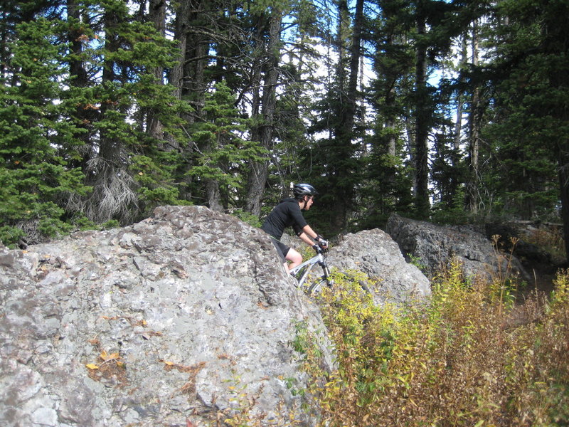 Large boulders on Phillips Ridge let you know you're close to the Ridge/Snotel junction