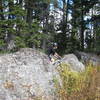 Large boulders on Phillips Ridge let you know you're close to the Ridge/Snotel junction